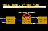 Modal Model of the Mind