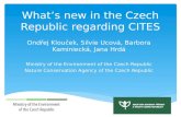 What ’s  new in the Czech Republic regarding CITES