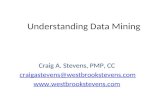 Understanding Data Mining