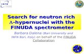 Search for neutron rich  -hypernuclei with the FINUDA spectrometer