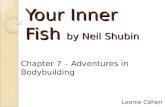 Your Inner Fish  by Neil Shubin