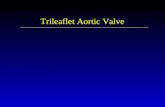 Trileaflet Aortic Valve