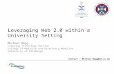 Leveraging Web 2.0 within a University Setting
