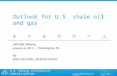 Outlook for U.S. shale oil and gas