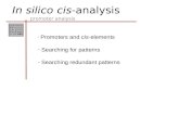 In silico cis -analysis