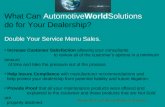 What Can  Automotive World Solutions        do for Your Dealership?