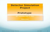 Detector Simulation Project Prototype