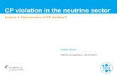 CP violation in the neutrino sector