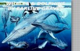 Whales & Dolphins BY EARLINE GRAVES