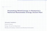 Promoting Wind Energy in Romania’s National Renewable Energy Action Plan