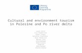 Cultural and environment tourism in Polesine and Po river delta