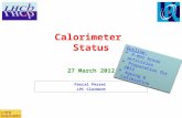 Calorimeter Status