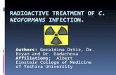 Radioactive treatment of  C. neoformans  infection.