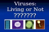 Viruses: Living or Not