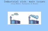 Industrial risk: main issues (Scira Menoni, Politecnico di Milano)