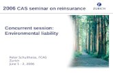 Concurrent session: Environmental liability