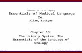 PowerPoint to accompany Essentials of Medical Language 2e  Allan, Lockyer