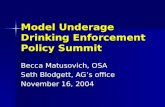 Model Underage Drinking Enforcement Policy Summit
