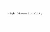 High Dimensionality