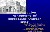 Conservative Management of Borderline Ovarian Tumor