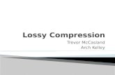 Lossy  Compression