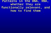 Patterns in the DNA, RNA, whether they are functionally relevant, and how to find them
