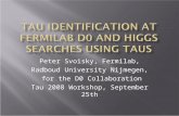 Tau  Identification at  fermilab  d0 and Higgs searches using  taus
