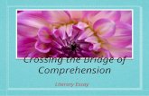 Crossing the Bridge of Comprehension