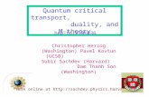 Quantum critical transport,                       duality, and M-theory