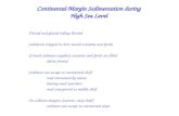 Continental-Margin Sedimentation during High Sea Level