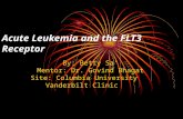 Acute Leukemia and the FLT3 Receptor