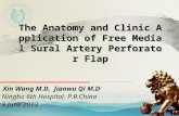 The Anatomy and Clinic Application of Free Medial Sural Artery Perforator Flap