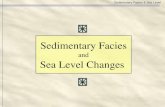 Sedimentary Facies & Sea Level