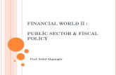 Financial world ii :  public sector & fiscal policy