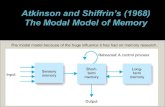 Atkinson and  Shiffrin’s  (1968)  The Modal Model of Memory