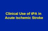 Clinical Use of tPA in  Acute Ischemic Stroke