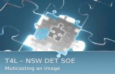 T4L – NSW DET SOE