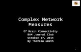 Complex Network Measures