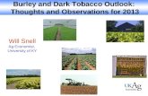 Burley and Dark Tobacco Outlook:  Thoughts and Observations for 2013