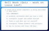 Bell Work (Quiz – work on Loose Leaf)