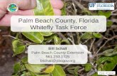 Palm Beach County, Florida Whitefly Task Force