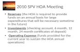 2010 SPV HOA Meeting