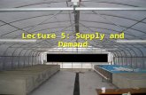 Lecture 5: Supply and Demand