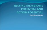 RESTING MEMBRANE POTENTIAL AND  ACTION POTENTIAL