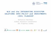 WLE and the  INTEGRATING ECOSYSTEM SOLUTIONS INTO POLICY  and  INVESTMENTS (IES)  FLAGSHIP