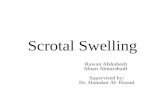 Scrotal Swelling