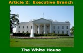 Article 2:  Executive Branch