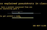 I miss explained pseudoknots in class!!! If you have a protein expressed from one