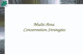 Multi-Area  Conservation Strategies