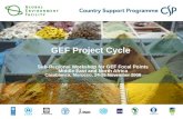 GEF Project Cycle